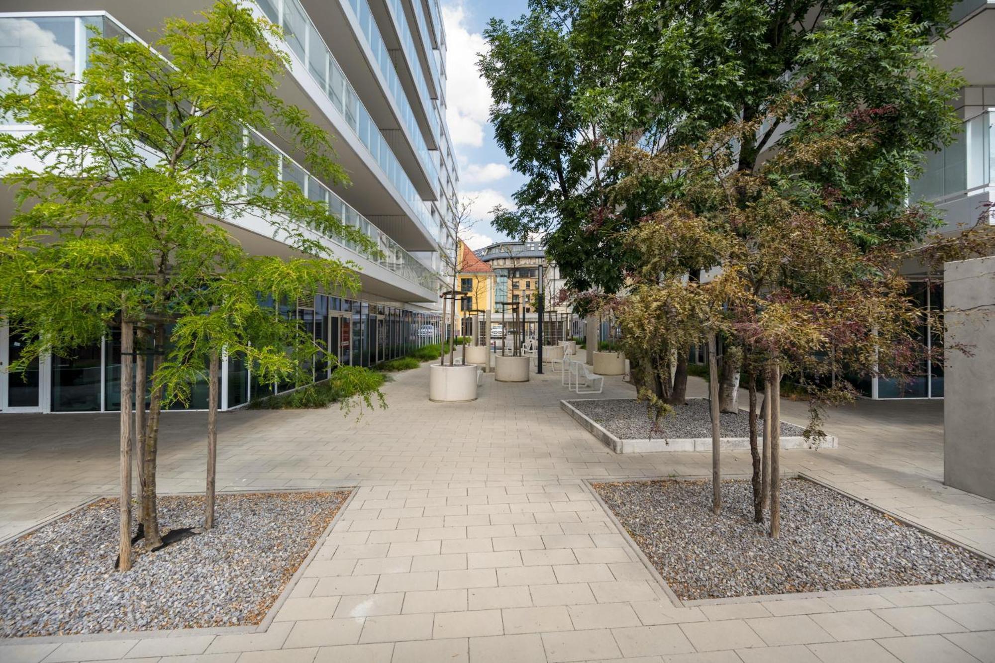 Elegant With Balcony By The Oder River In By Renters Prestige Apartment *
